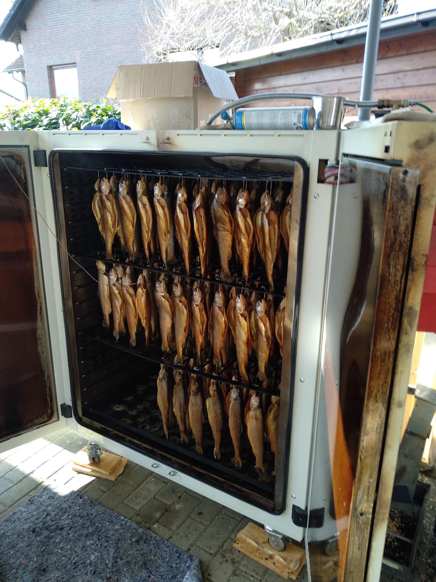 Galeriebild: IMG 20220405 WA0003